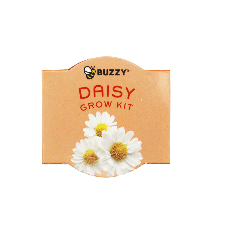 Bright Mini Terracotta Grow Pots | Daisy 12-pack