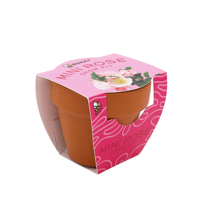 Bright Mini Terracotta Grow Pots | Mini Rose 12-pack