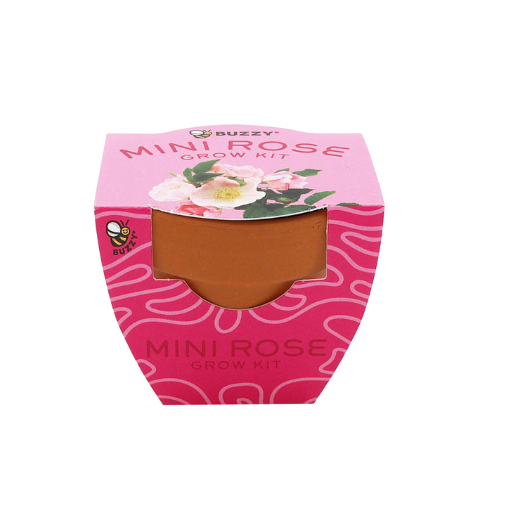 Bright Mini Terracotta Grow Pots | Mini Rose 12-pack