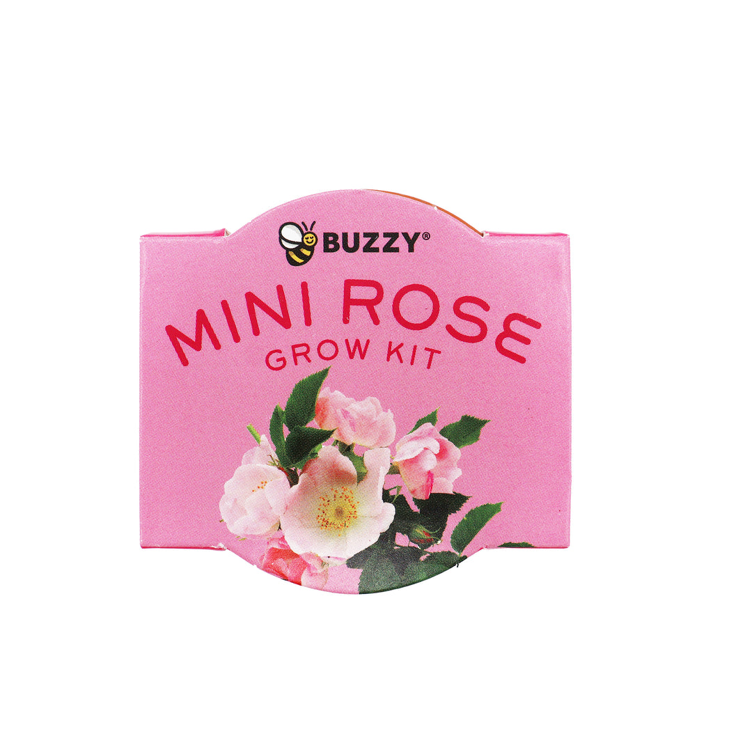 Bright Mini Terracotta Grow Pots | Mini Rose 12-pack