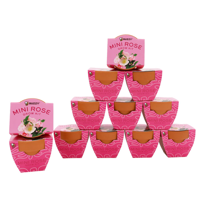 Bright Mini Terracotta Grow Pots | Mini Rose 12-pack