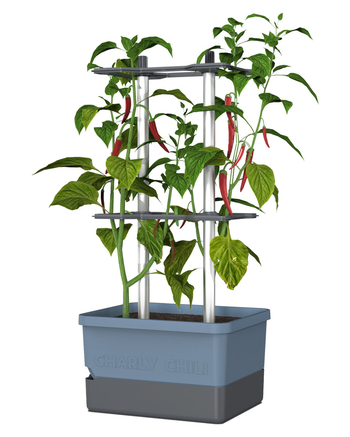 Self-Watering Chili Pepper Planter with Trellis | Vertical Garden for Small Spaces