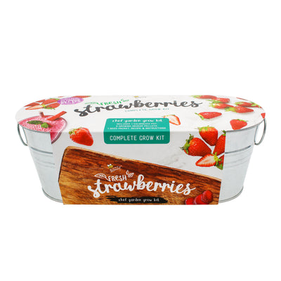 Kitchen Herbs & Strawberry Windowsill Grow Kit | 2-pack