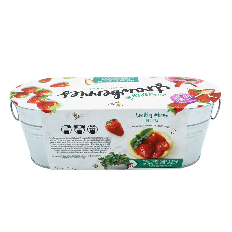 Kitchen Herbs & Strawberry Windowsill Grow Kit | 2-pack