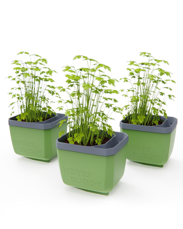 self watering herb planter outdoor Self-Watering Herb Planters | Indoor Herb Garden (3 Pack)