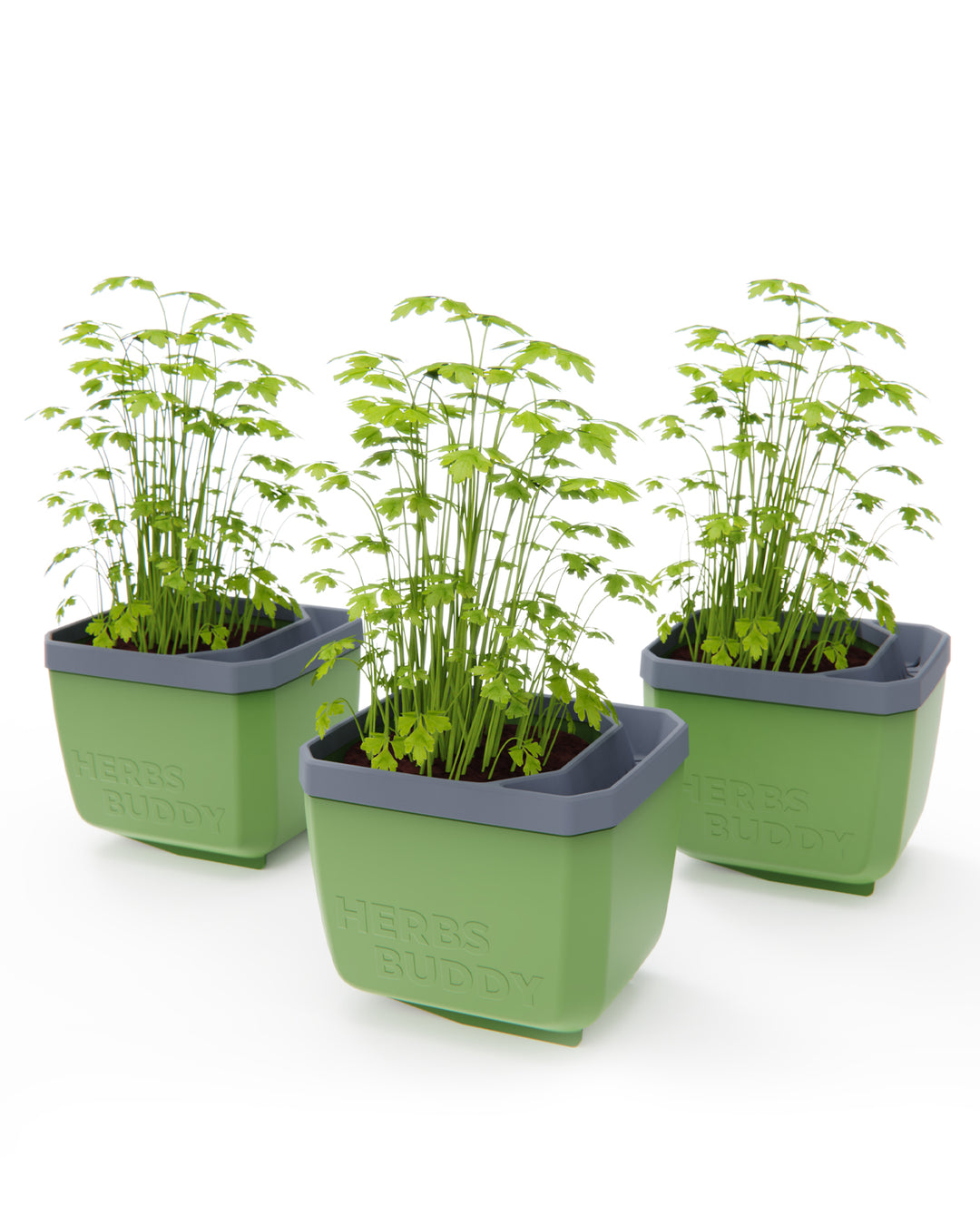 Self-Watering Herb Planter with Tilt Water Indicator for Indoor Growing | 3-Pack