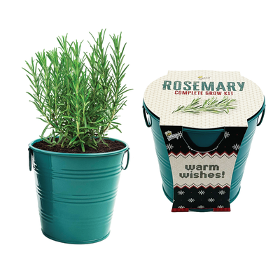 Rosemary Holiday Houseplant Grow Pail Kit