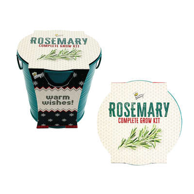 Rosemary Holiday Houseplant Grow Pail Kit