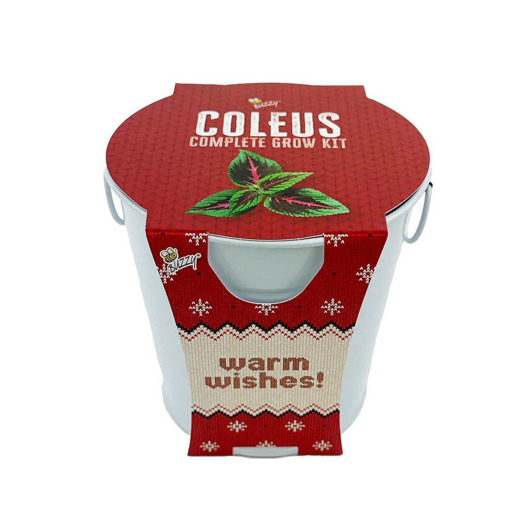 Coleus Grow Kit | Warm Wishes Holiday Pail