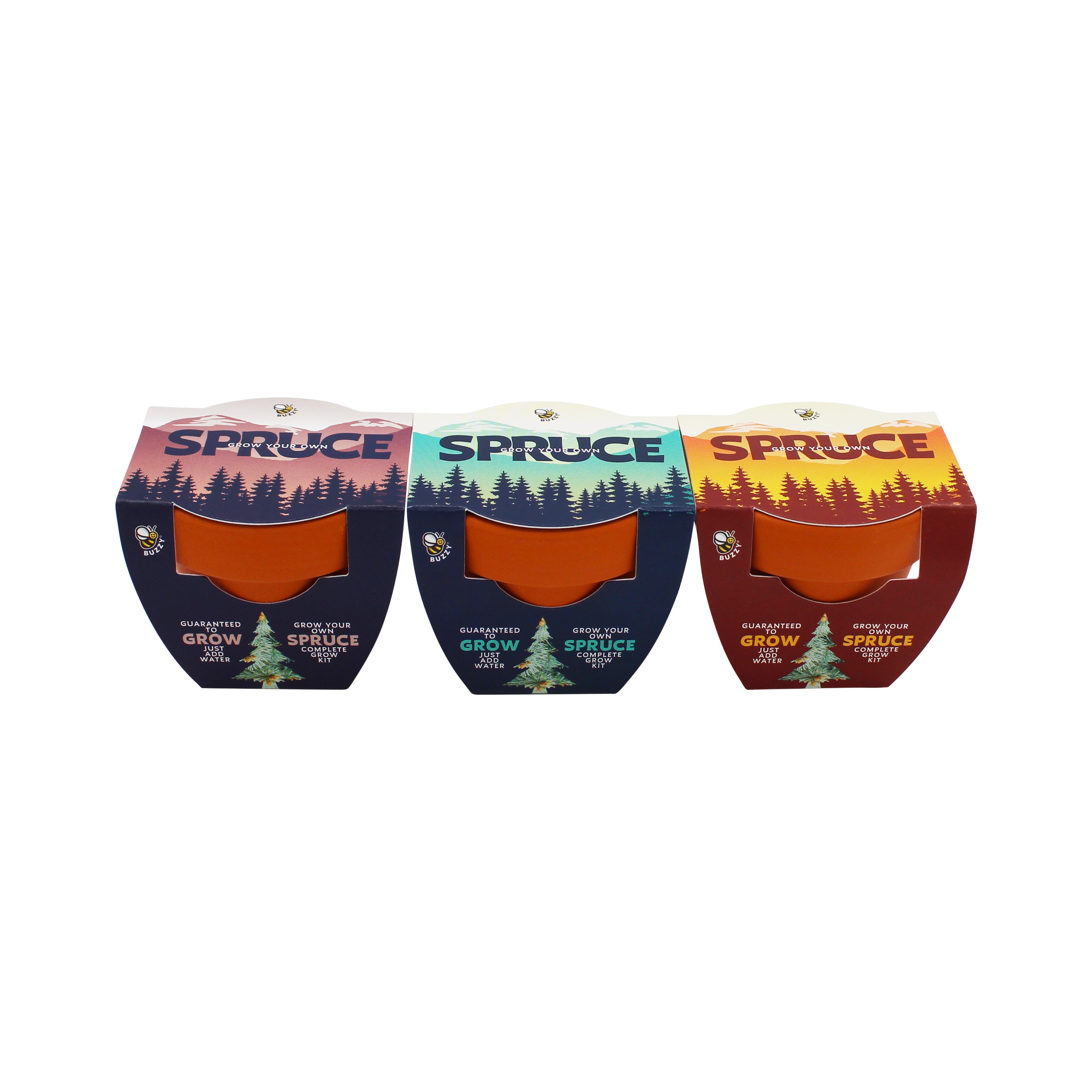 Spruce Tree Grow Kit with Mini Terracotta Pots (12 Pack) – Buzzy Seeds
