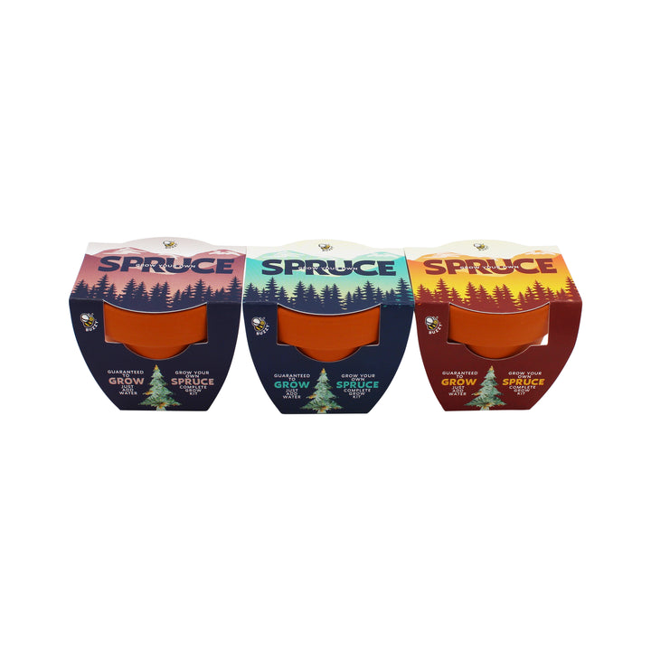 Holiday Spruce Tree Grow Kit | 12-Pack with Mini Terracotta Pots & Seeds
