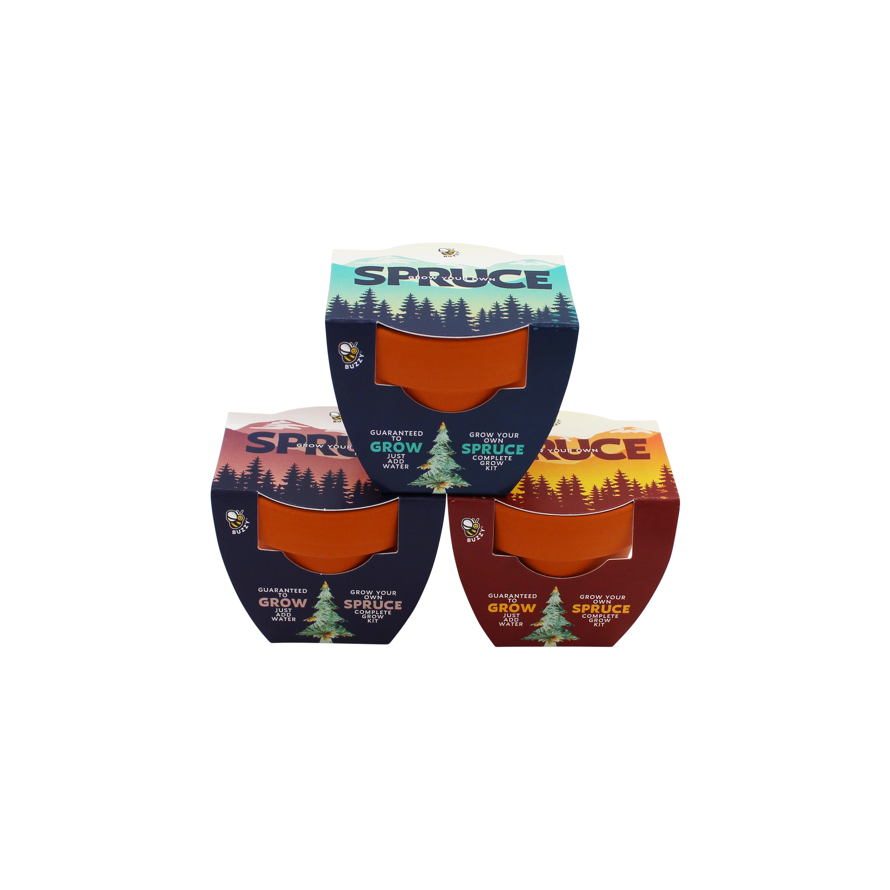Spruce Tree Grow Kit with Mini Terracotta Pots (12 Pack) – Buzzy Seeds