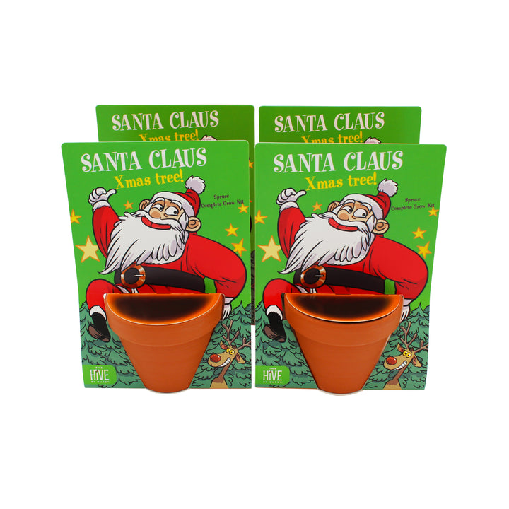 Christmas Tree Grow Kit | Mini Terracotta Pots (4 Pack)