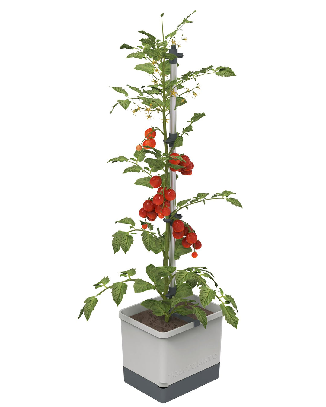 Self-Watering Tomato Planter with Trellis | Vertical Garden for Small Spaces