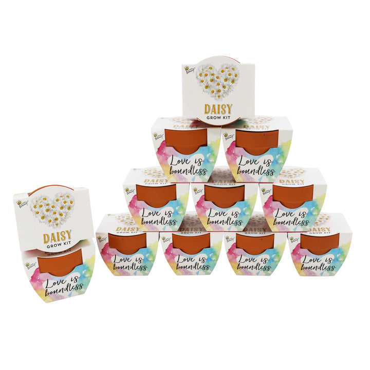 Love Mini Terracotta Pots | Daisy (12 Pack)