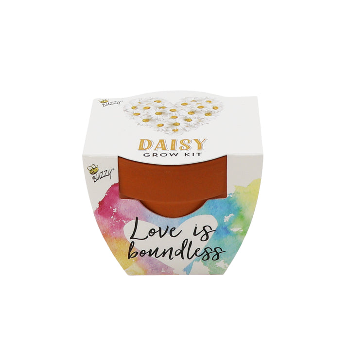 Love Mini Terracotta Pots | Daisy (12 Pack)