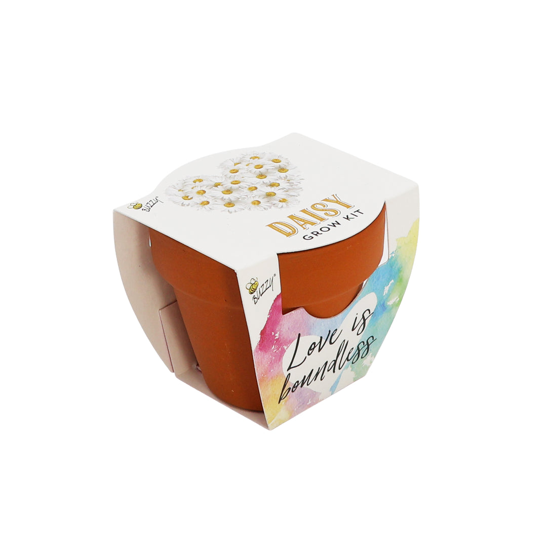 Love Mini Terracotta Pots | Daisy (12 Pack)