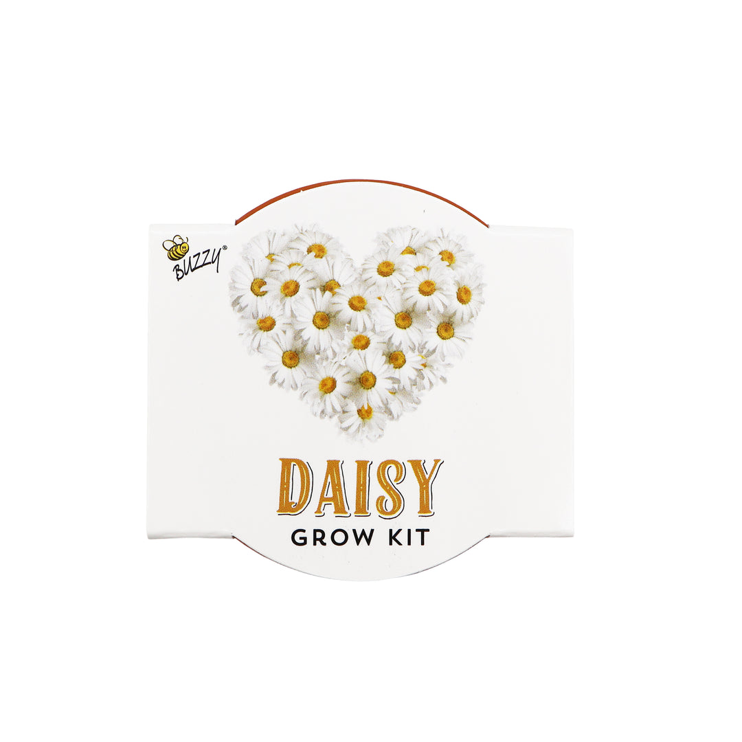 Love Mini Terracotta Pots | Daisy (12 Pack)