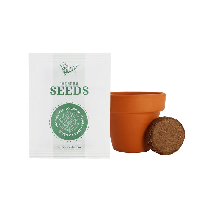Love Mini Terracotta Pots | Daisy (12 Pack)