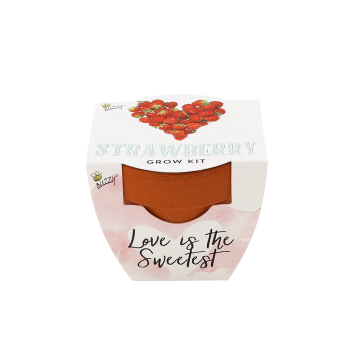 Love Mini Terracotta Pots | Strawberry (12 Pack)