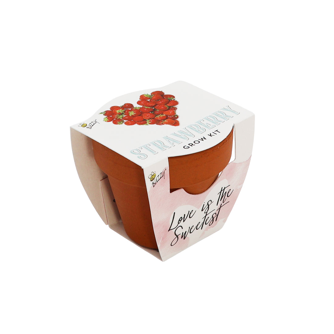 Love Mini Terracotta Pots | Strawberry (12 Pack)