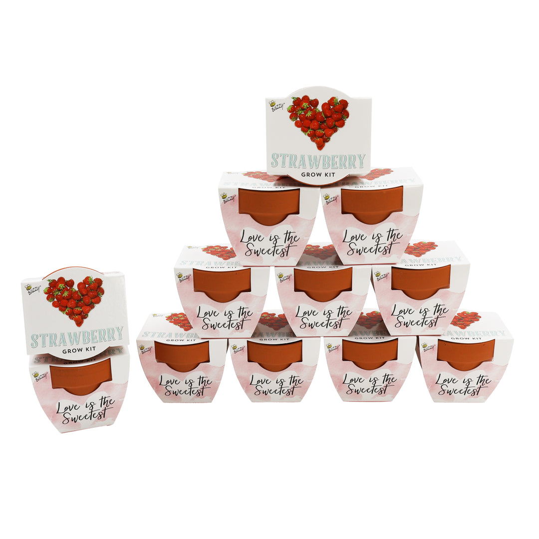 Love Mini Terracotta Pots | Strawberry (12 Pack)