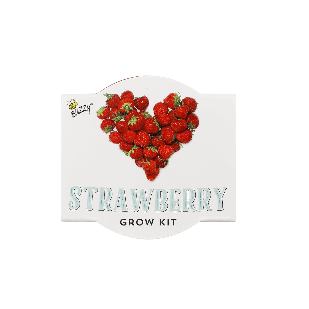 Love Mini Terracotta Pots | Strawberry (12 Pack)