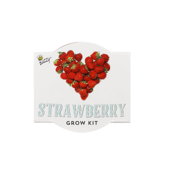 Love Mini Terracotta Pots | Strawberry (12 Pack)