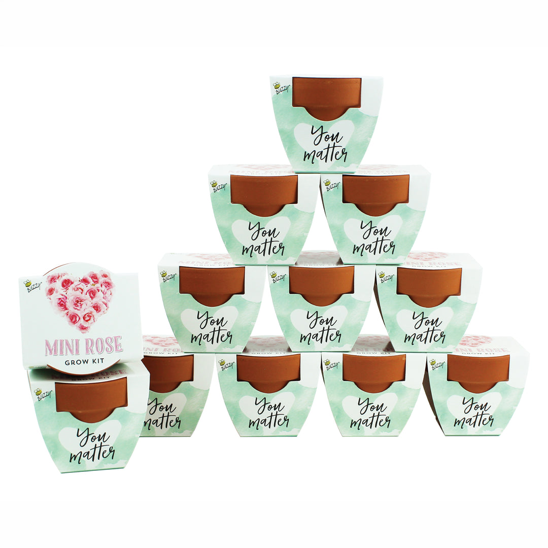 Love Mini Terracotta Pots | Mini Rose (12 Pack)