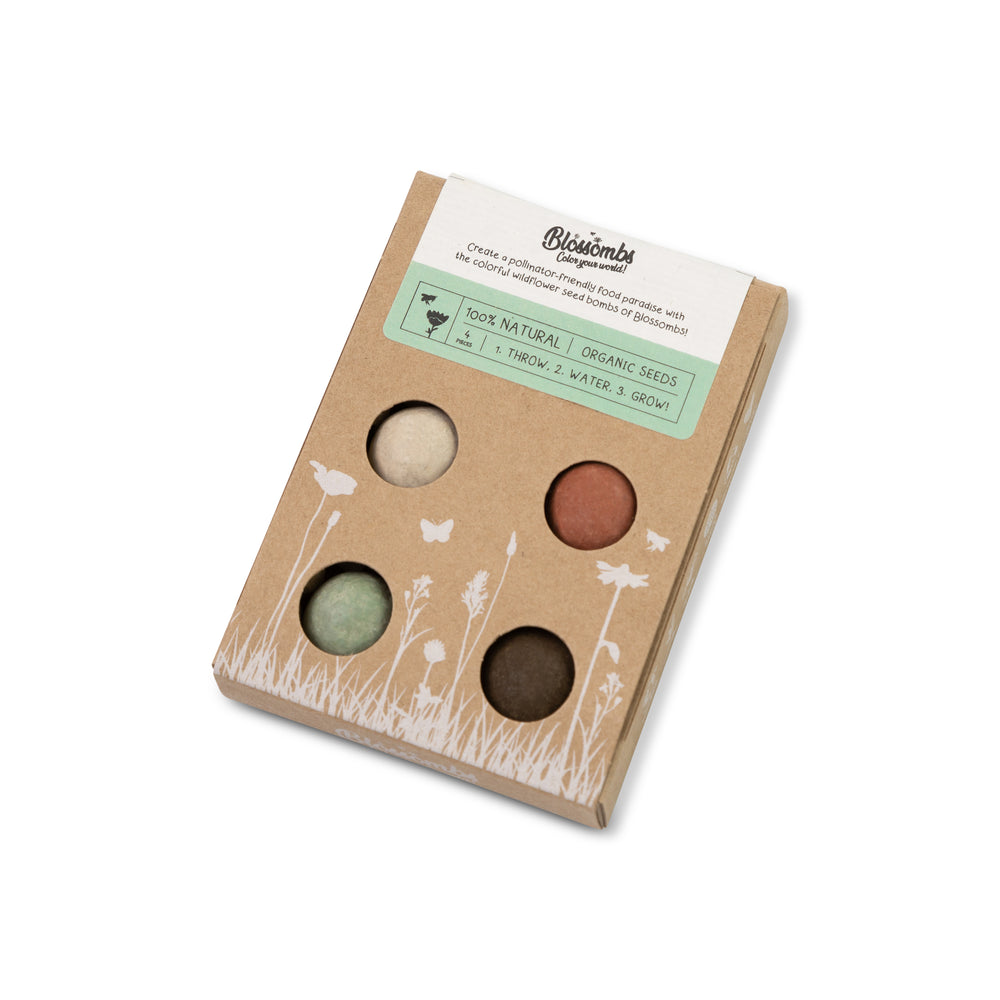 back of Holiday gift box showing four clay seed balls in neutral colors