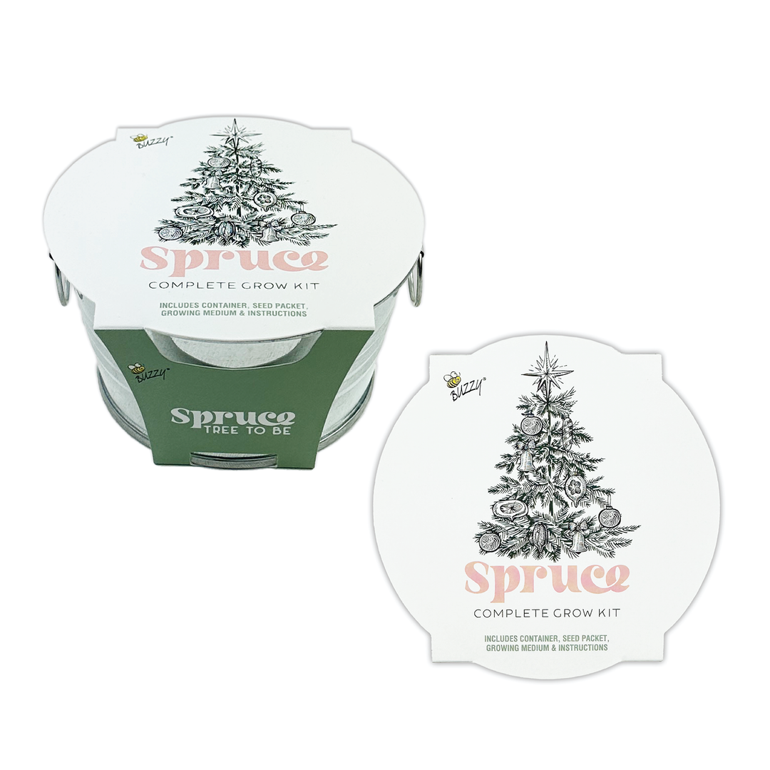 Christmas Tree-To-Be Mini Basin Grow Kit – Grow Your Own Spruce Tree Indoors