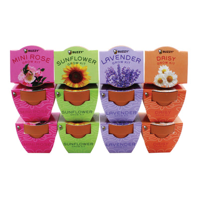 Bright Mini Terracotta Grow Kit | Assorted 12-pack