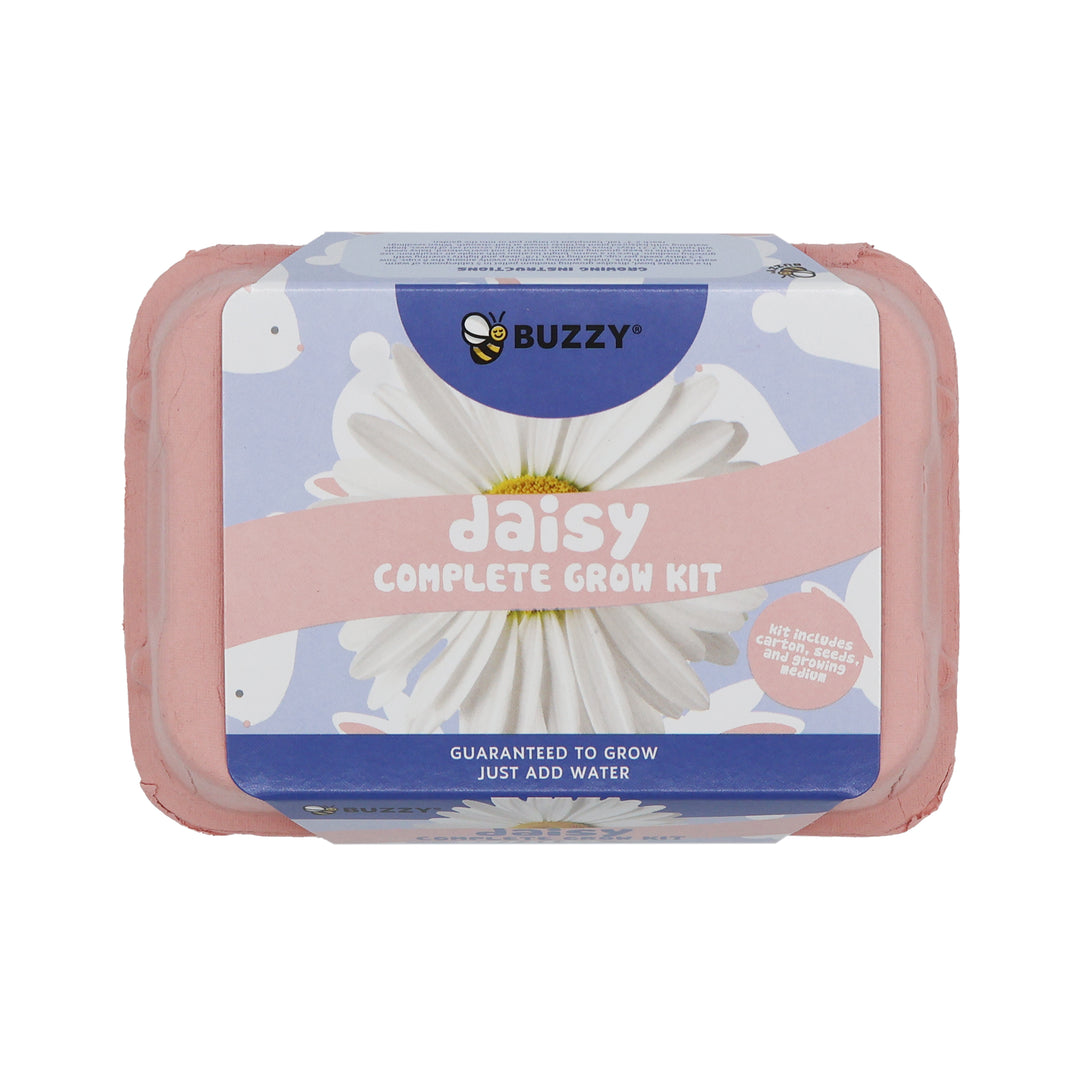 Grow Kit with Sunflower Seeds & Daisy Seeds in Colorful Eco-friendly Egg Cartons | 2 Pack