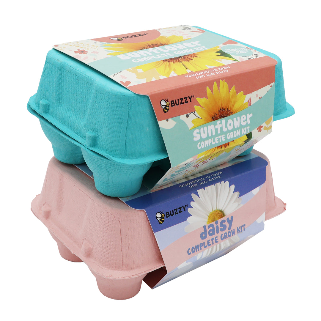 Grow Kit with Sunflower Seeds & Daisy Seeds in Colorful Eco-friendly Egg Cartons | 2 Pack