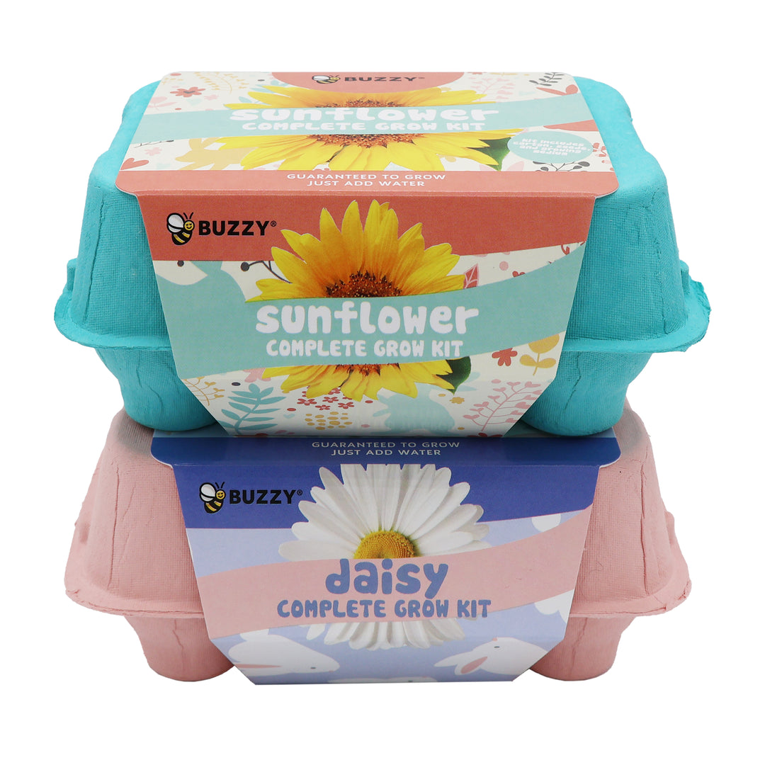 Grow Kit with Sunflower Seeds & Daisy Seeds in Colorful Eco-friendly Egg Cartons | 2 Pack