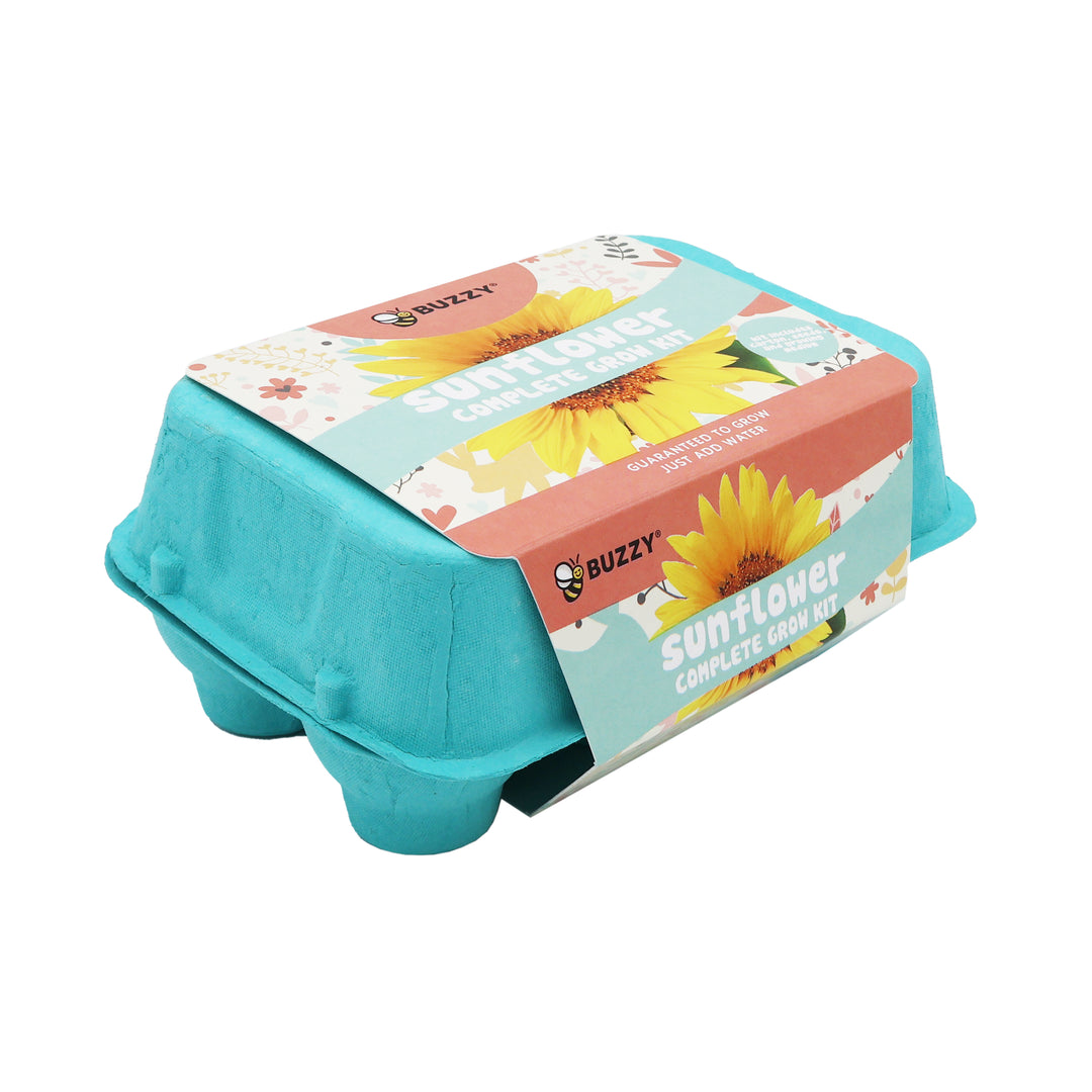 Grow Kit with Sunflower Seeds & Daisy Seeds in Colorful Eco-friendly Egg Cartons | 2 Pack