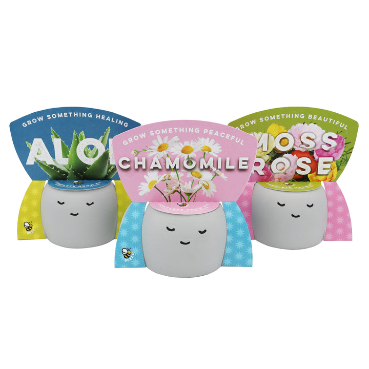 Peaceful Emoji Pot Grow Kit Trio (Set of 3) | Cute Plants for Desks, Dorms & Gifts