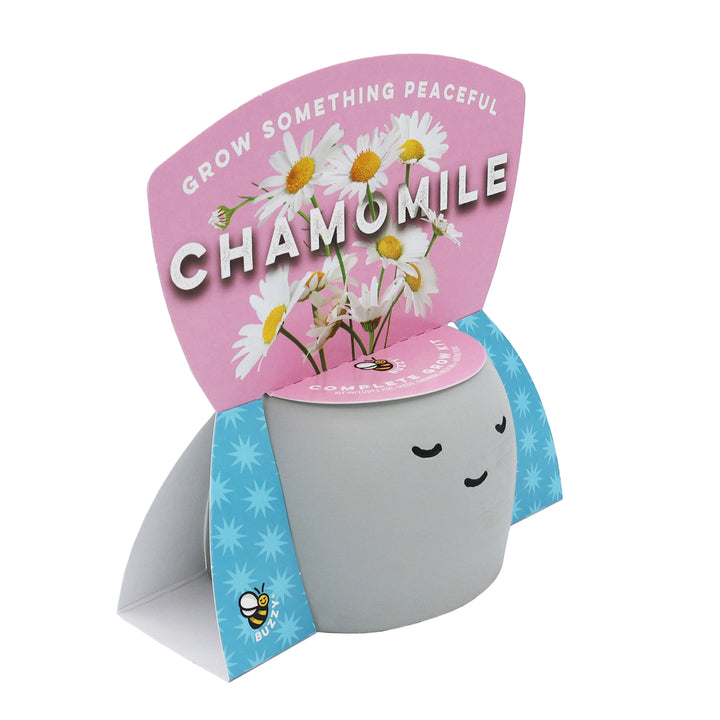 Peaceful Emoji Pot Grow Kit Trio (Set of 3) | Cute Plants for Desks, Dorms & Gifts