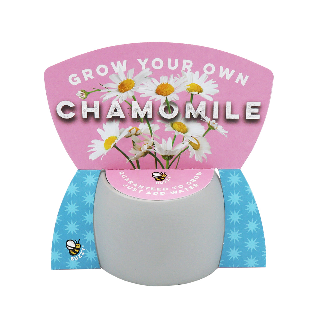 Peaceful Emoji Pot Grow Kit Trio (Set of 3) | Cute Plants for Desks, Dorms & Gifts