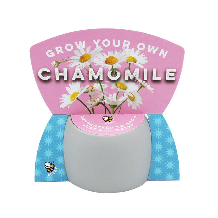 Peaceful Emoji Pot Grow Kit Trio (Set of 3) | Cute Plants for Desks, Dorms & Gifts