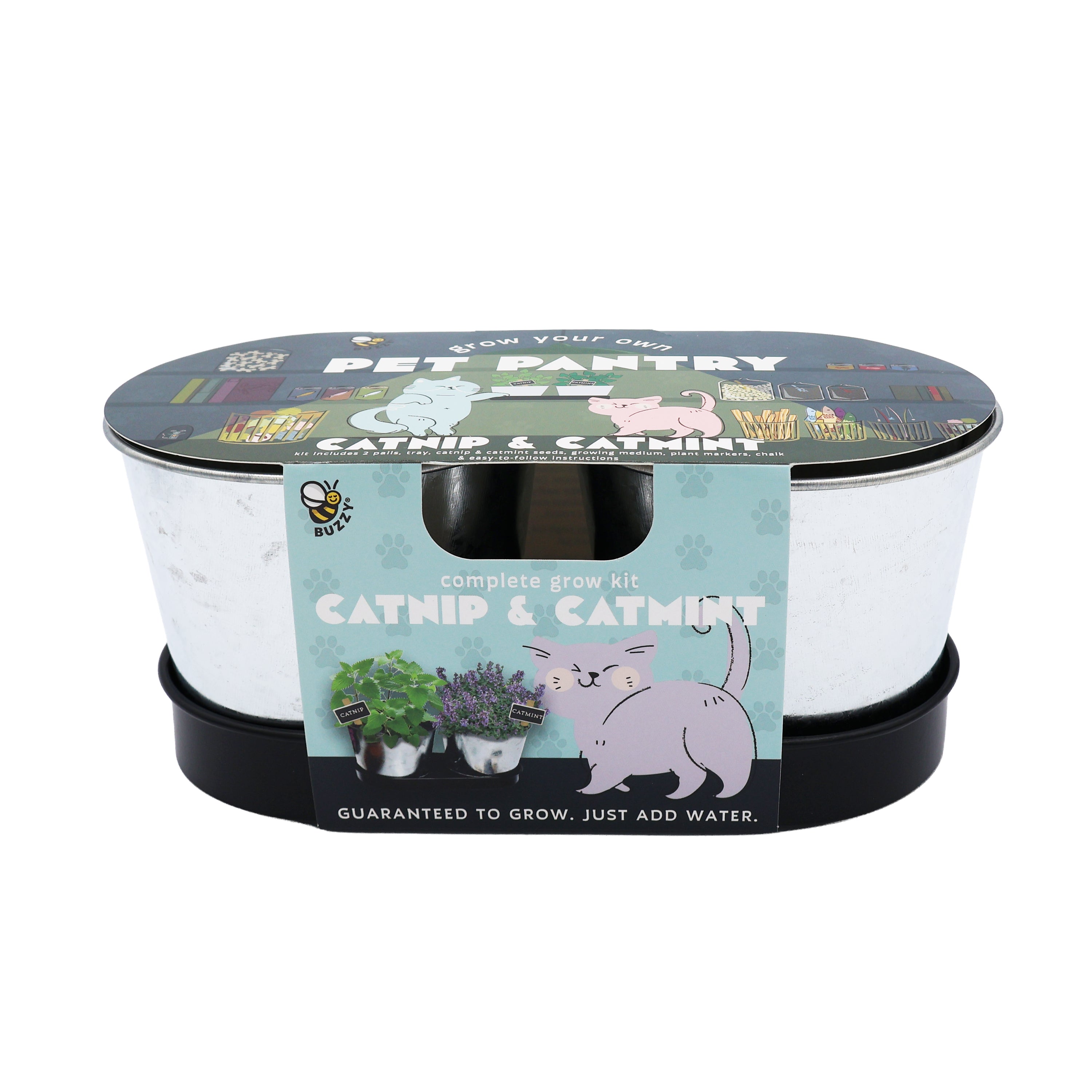 Catnip & Catmint Cat Garden Grow Kit 2 Pot Set with Tray – Buzzy Seeds