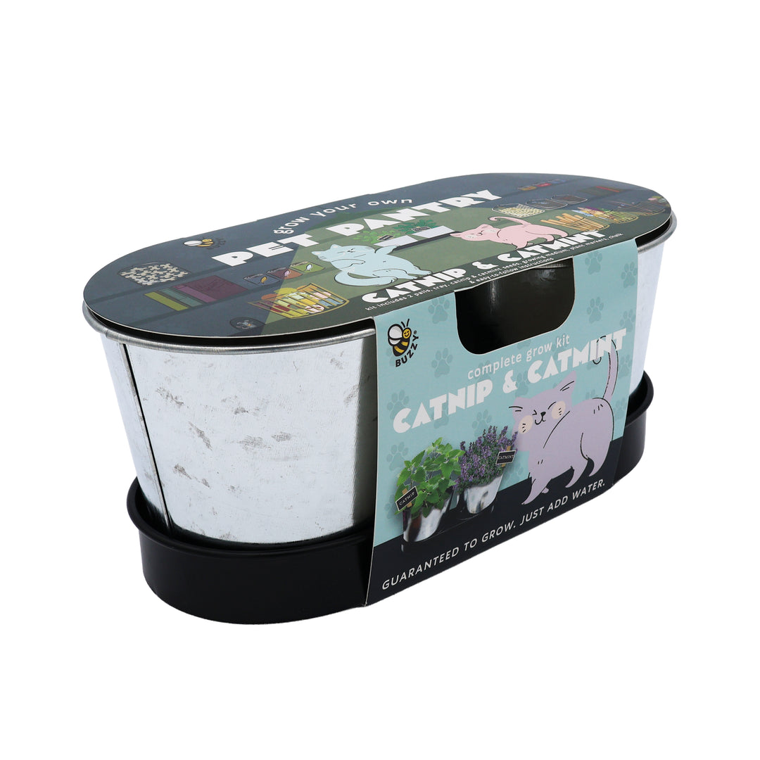 Pet Pantry Cat Garden | Catnip & Catmint Grow Kit