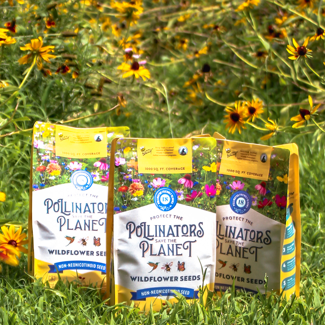 Pollinator-Friendly Wildflower Seed Mix | 1000 Sq. Feet