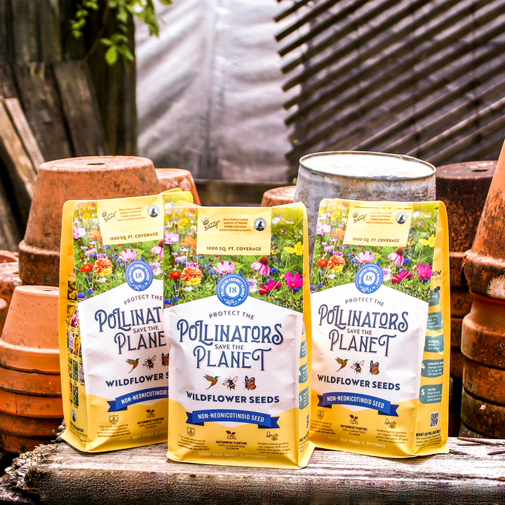 Pollinator-Friendly Wildflower Seed Mix | 1000 Sq. Feet