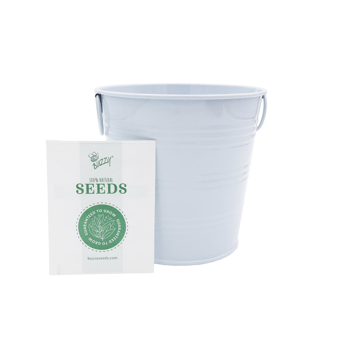 Americana Flower Grow Kit | Red, White & Blue Pails (Set of 3)