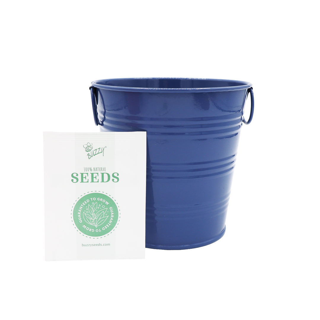 Americana Flower Grow Kit | Red, White & Blue Pails (Set of 3)