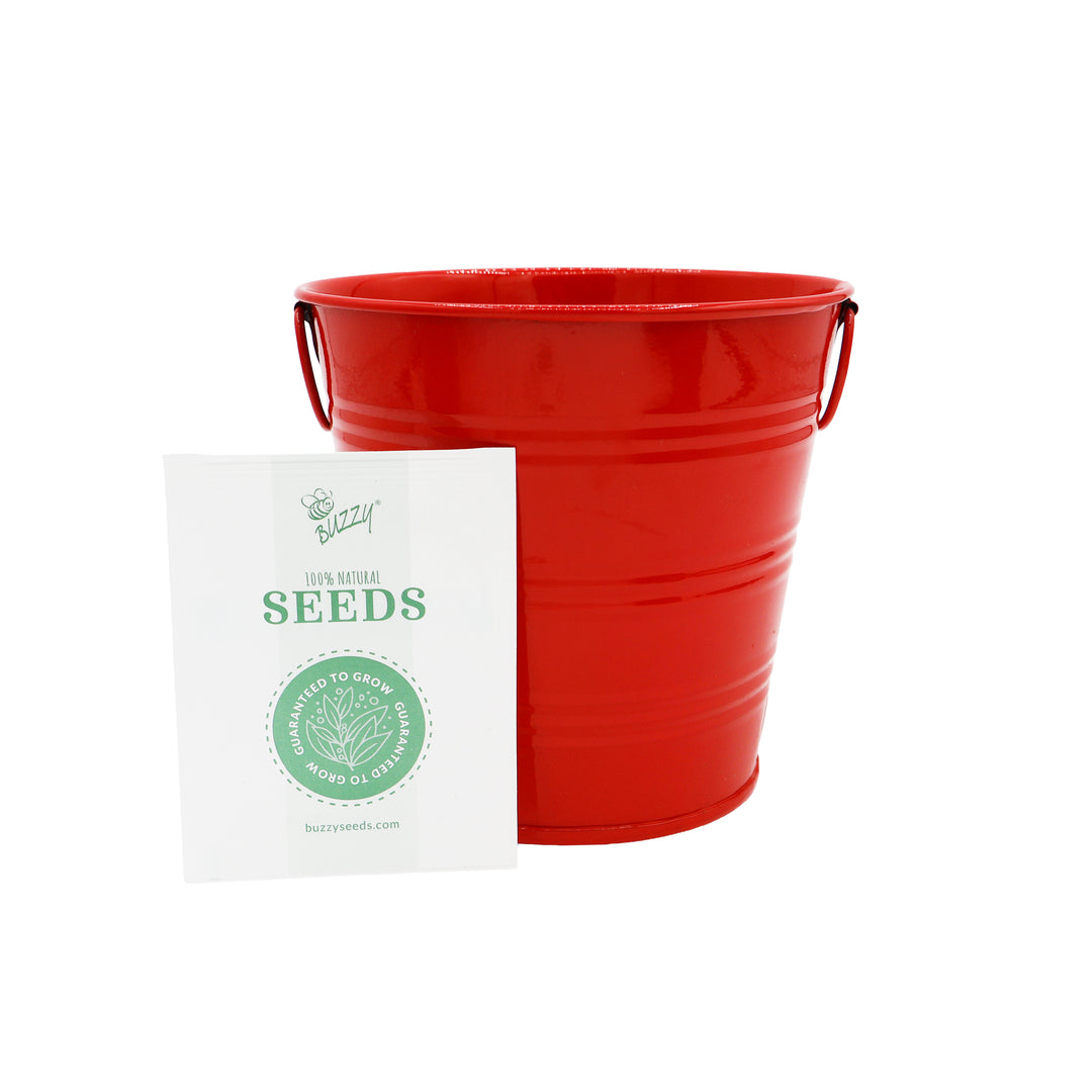 Americana Flower Grow Kit | Red, White & Blue Pails (Set of 3)