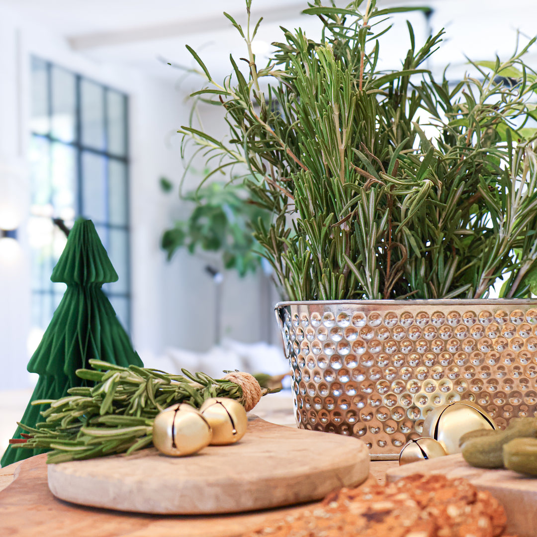 Holiday Herb Grow Kit | Rosemary & Sage Windowsill Planter