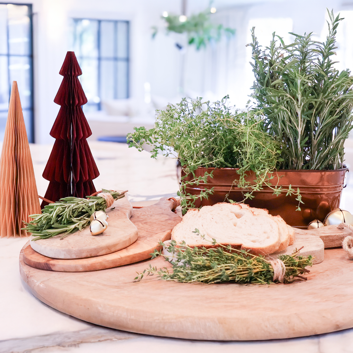 Festive Herb Grow Kit – Rosemary & Thyme for Indoor Windowsill Gardening