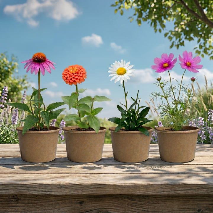 Save The Bees Pollinator Flower Grow Kits | Paper Cups (12 Pack)